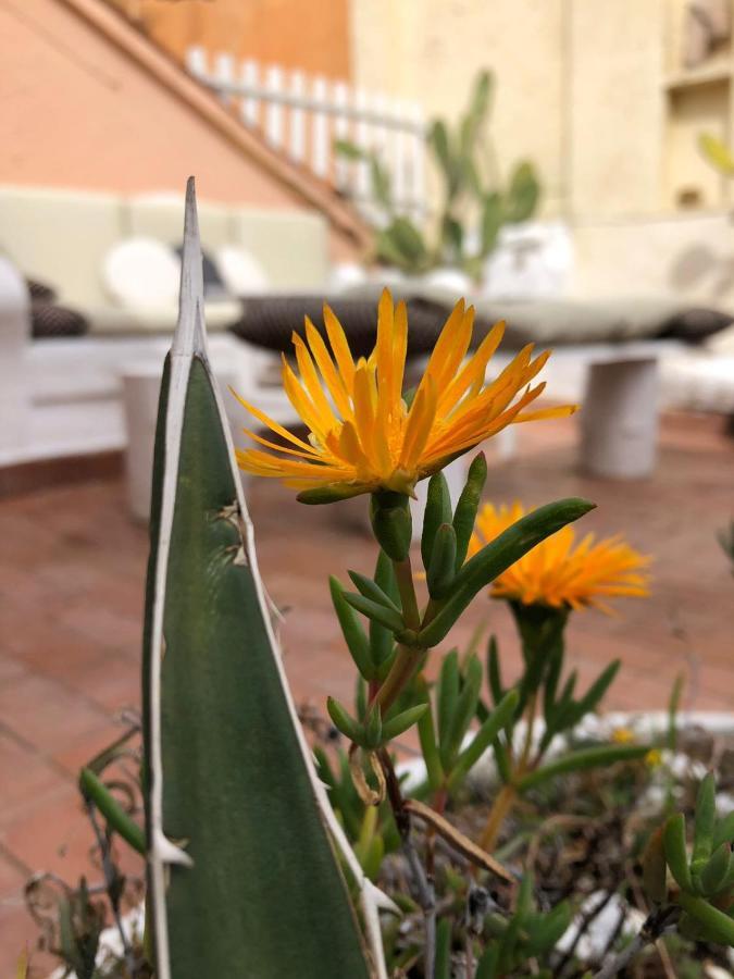Elite Navona Apartment Rome Exterior photo